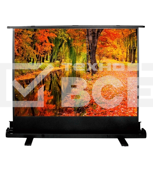 Экран Cactus 150x200см FloorExpert CS-PSFLE-200X150 4:3 напольный рулонный