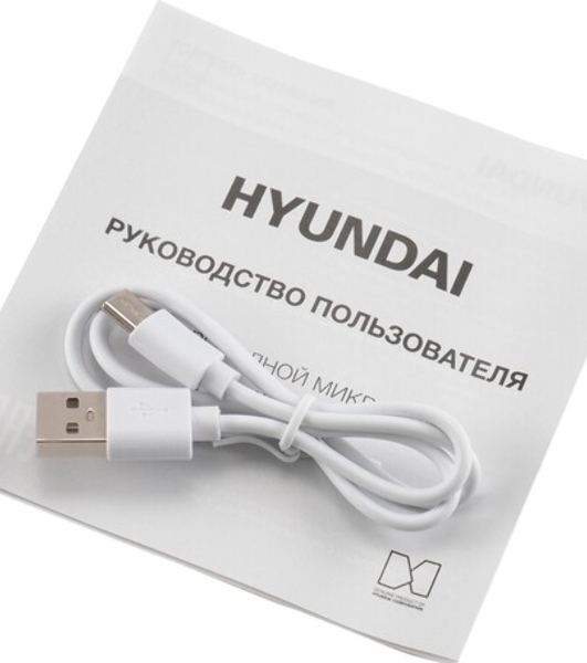 Микрофон беспроводной Hyundai H-MIC101 черный