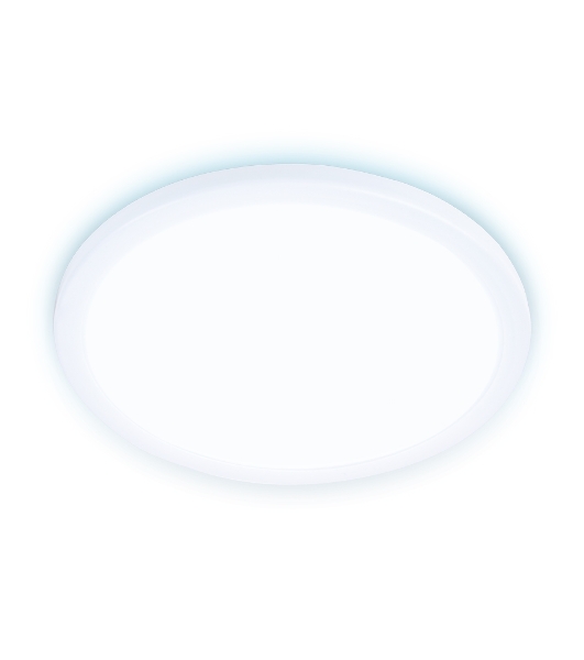 Встраиваемый ультратонкий светодиодный светильник Ambrella light DLR310 15W 6400K 220-240V D175*25 (A50-160)