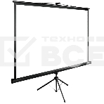 Экран Cactus 220x220см TriExpert CS-PSTE-220х220-BK 1:1 напольный рулонный, фото3