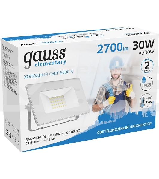 Прожектор светодиодный Elementary 30Вт 2100лм IP65 6500К бел. Gauss 613120330