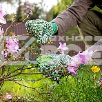 Перчатки садовые х/б ткань с ПВХ точкой, манжет, M Palisad, фото 1