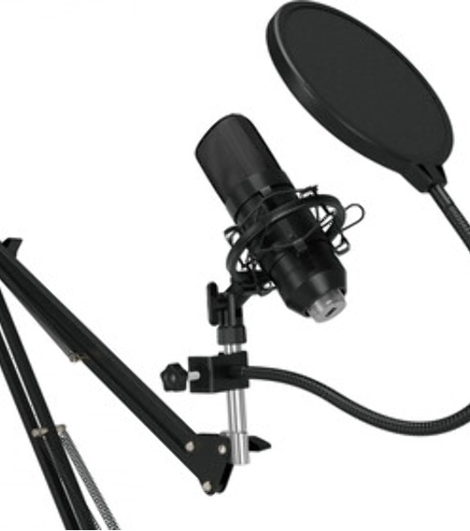 Микрофон проводной Оклик SM-600G 2.5м черный