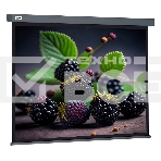 Экран Cactus 127x127см Wallscreen CS-PSW-127X127-SG 1:1 настенно-потолочный рулонный серый, фото2