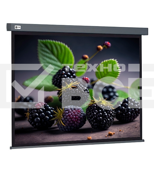 Экран Cactus 127x127см Wallscreen CS-PSW-127X127-SG 1:1 настенно-потолочный рулонный серый