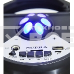 Акустическая система SUPRA SMB-330, 20Вт, с караоке, Bluetooth, FM, USB, черный, фото23