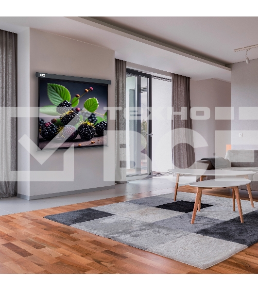 Экран Cactus 127x127см Wallscreen CS-PSW-127X127-SG 1:1 настенно-потолочный рулонный серый