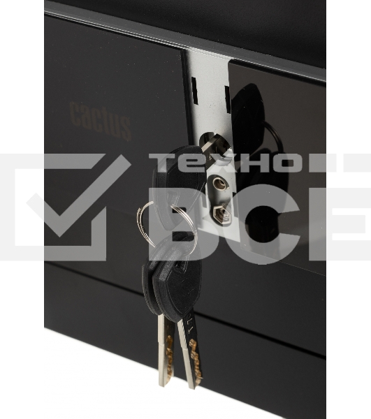 Сейф мебельный Cactus CS-SF-T25 250x350x300мм электронный