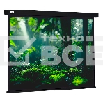 Экран Cactus 213x213см Wallscreen CS-PSW-213X213-BK 1:1 настенно-потолочный рулонный черный, фото2