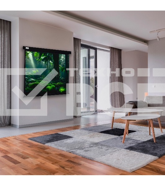 Экран Cactus 213x213см Wallscreen CS-PSW-213X213-BK 1:1 настенно-потолочный рулонный черный