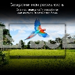Телевизор Digma 65