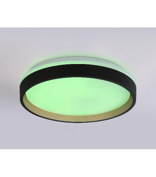 Светодиодный светильник RGB Ambrella light FZ604 BK/GD черный/золото IP20 46W 3000K-6500K+RGB D390*80 (ПДУ ИК)