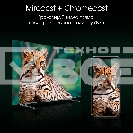 Телевизор Digma 65