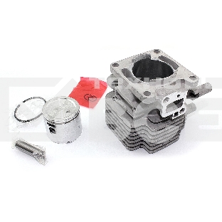 Поршневая группа для Hitachi CG27EAS 110121