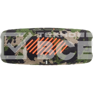 Портативная акустика JBL Charge 5, камуфляж