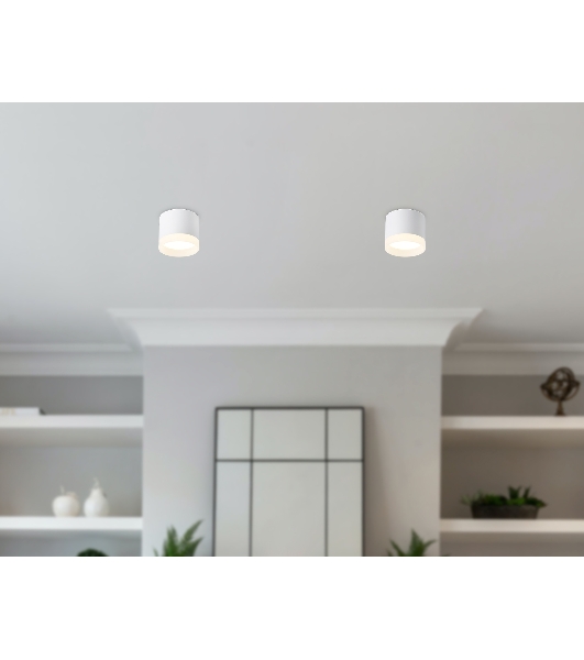 Светильник Ambrella light TN5365 WH белый GX53 D82*70