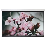 Экран 168x300см Digis Electra-F DSEF-16906 16:9 настенно-потолочный рулонный (моторизованный привод), фото6