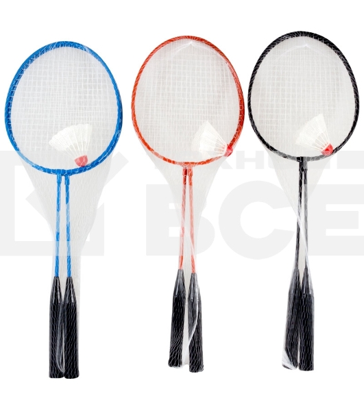 Ecos Набор для игры в бадминтон BdSet-01