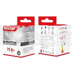 Лампа светодиодная Рефлектор 5,5 Вт 570Лм GU5.3 4000K Rexant, фото3