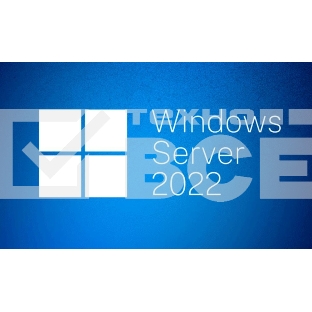 ПО Windows Svr Std 2022 64Bit Russian 1pk DSP OEI DVD 16 Core