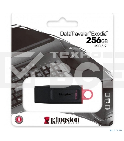 Флеш диск KINGSTON 256GB USB3.2 Gen1 DataTraveler Exodia (Black + Pink)