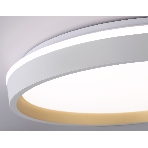 Светодиодный светильник RGB Ambrella light FZ607 WH/GD белый/золото IP20 66W 3000K-6500K+RGB D490*85 (ПДУ ИК), фото16