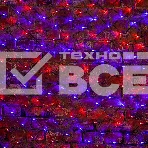 Гирлянда Сеть 