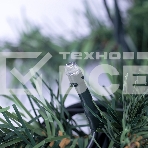 Еловый шлейф искуственный  2,7 м Теплое белое свечение 80 LED, фото5