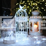 Гирлянда «Твинкл-Лайт» 4 м, 25 LED, прозрачный ПВХ, цвет свечения белый NEON-NIGHT, фото2