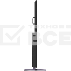 Телевизор  Skyworth 100