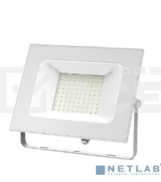 Прожектор светодиодный GAUSS 613120300 Gauss Elementary 100W 6600lm IP65 6500К белый