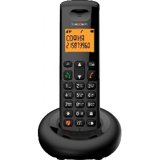 Телефон беспроводной TEXET TX-D4905A черный