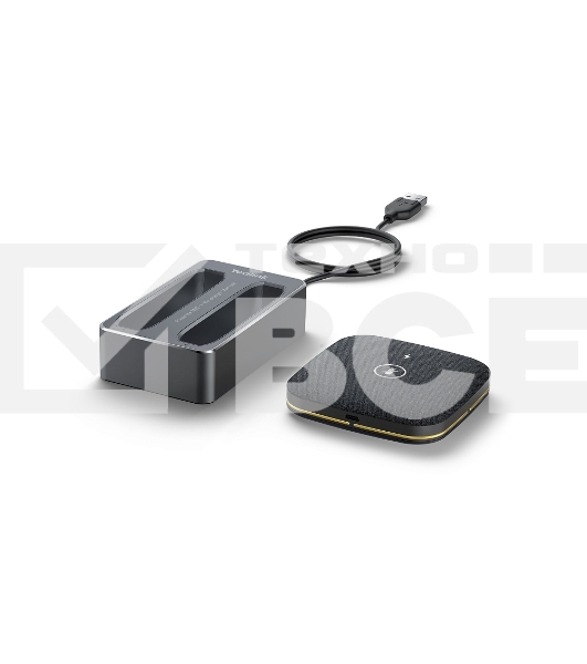 Спикерфон Yealink черный (CPW65-DECT-DUO)