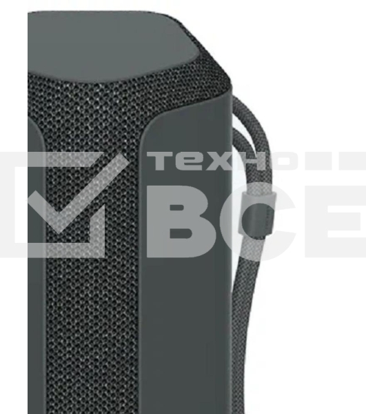 Беспроводная колонка Sony SRS-XE300, черный