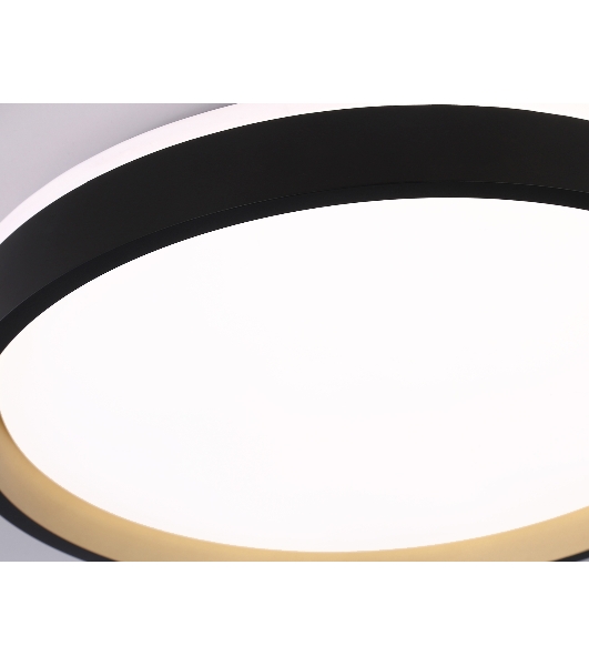 Светодиодный светильник RGB Ambrella light FZ610 BK/GD черный/золото IP20 66W 3000K-6500K+RGB D490*85 (ПДУ ИК)