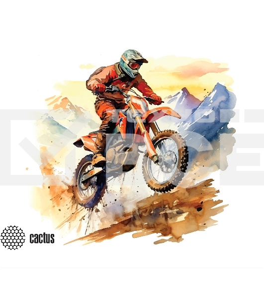 Коврик для мыши Cactus Motobike 250x200x3мм (CS-MP-D12S)