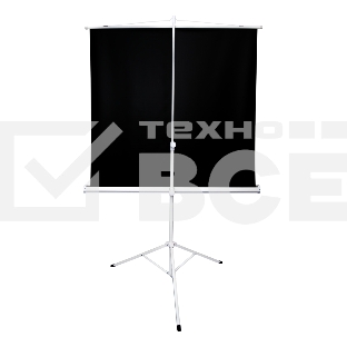 Экран 221x124.5см TriScreen 16:9 напольный рулонный белый100' Matt White (MW)