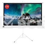 Экран 221x124.5см TriScreen 16:9 напольный рулонный белый100' Matt White (MW), серый корпус, фото 1