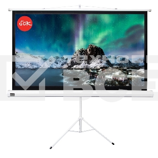 Экран 221x124.5см TriScreen 16:9 напольный рулонный белый100' Matt White (MW), серый корпус
