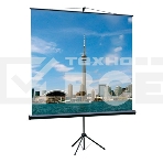 Экран на треноге Lumien 180x180 см Eco View LEV-100102 1:1 напольный рулонный, фото2