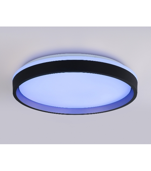 Светодиодный светильник RGB Ambrella light FZ610 BK/GD черный/золото IP20 66W 3000K-6500K+RGB D490*85 (ПДУ ИК)