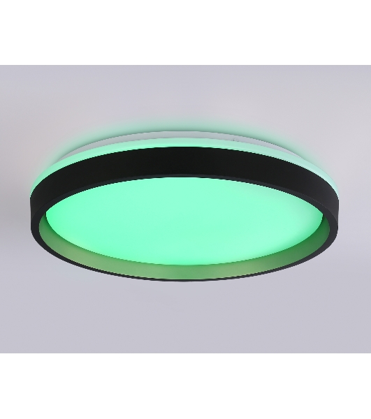 Светодиодный светильник RGB Ambrella light FZ610 BK/GD черный/золото IP20 66W 3000K-6500K+RGB D490*85 (ПДУ ИК)