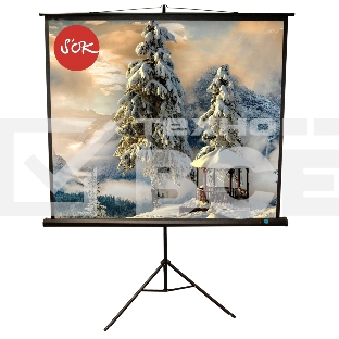 Экран 150x150см TriScreen 1:1 напольный рулонный белый84' Matt White (MW), черный корпус