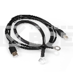 Комплект источника бесперебойного питания Exegate EX295987RUS + батарея 40Aч EX282979RUS 2шт (инвертор, синус, для котла) ExeGate SineTower SZ-1000.LCD.AVR.2SH.1C13.USB <1000VA/800W, чистый синусоида, LCD дисплей, AVR, 2*Schuko+1*C13, USB, линейно-интерактивный, черный> + батарея ExeGate HR 12-40 (12В, 40Ач) 2шт, фото2