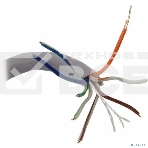 Кабель ExeGate UTP 4 пары кат.5e CCA, 25AWG, бухта 305м, серый, PVC, фото2