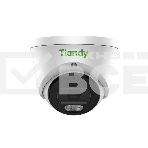 Камера IP TIANDY 2MP DOME TC-C320N (I3/E/Y/2.8MM), фото 1