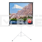 Экран Sakura 180x180см TriScreen 1:1 напольный рулонный белый  100' Matt White (MW), серый корпус, фото 1