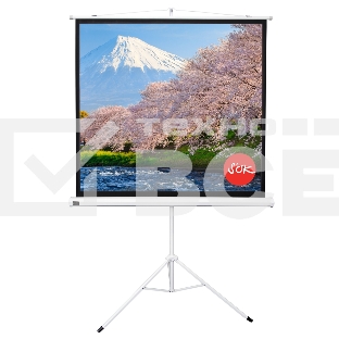 Экран Sakura 180x180см TriScreen 1:1 напольный рулонный белый  100' Matt White (MW), серый корпус