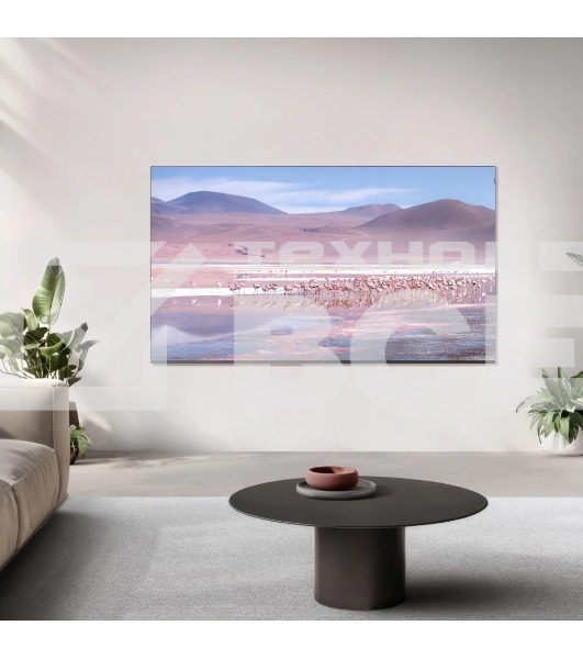 Телевизор TCL 55