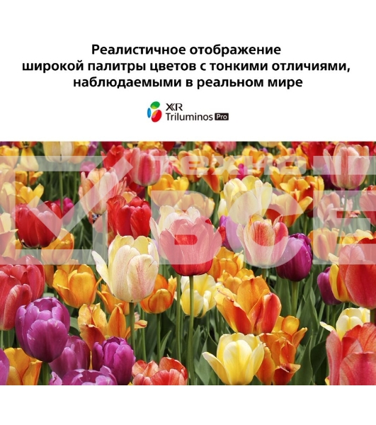 Телевизор Sony 75